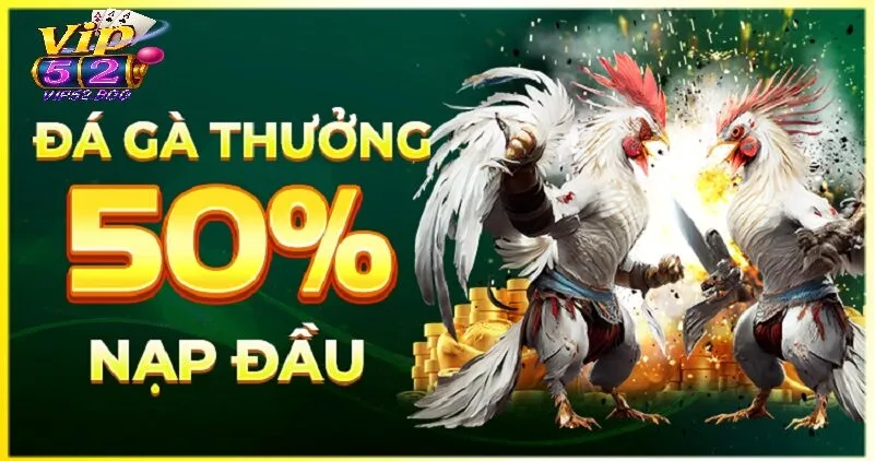 Chính Sách Khuyến Mãi Hấp Dẫn Khi Tham Gia Đá Gà Vip52